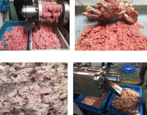 Máquina Separadora de Huesos de Pollo de Alta Eficiencia y Capacidad, Fabricada en China - Product Image 2