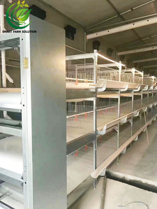 Poulailler automatique pour poules pondeuses, type H, en acier galvanisé, entretien facile, contrôle centralisé, pour l'élevage à grande échelle, Nouveau - Product Image 3