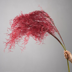 Ramo de flores preservadas de aspargosa artificial Greenway, color rojo, para decoración del hogar y diseño de interiores - Product Image 1
