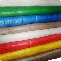 Multicolor PP geweven zak, duurzame polypropyleen zak voor verpakkingen van rijst, veevoer en meststof