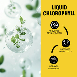 ODM OEM Clorofila Líquida con Clorofilina de Cobre y Sodio Promueve una Digestión Saludable Energía Sostenida Natural - Product Image 5