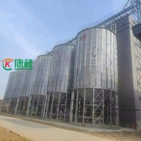 Système d'aération pour silo à riz de 500 à 5000 tonnes, conteneur en acier galvanisé durable, montage facile, garantie 1 an pour l'usine de parboilage des coques de riz