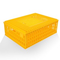 Cage/boîte de transport en plastique pour volailles (poulets/canards/pigeons/colibris)