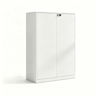 Archivador Metálico Moderno sin Llave con Cerradura de Código, Gran Capacidad, Uso Comercial para Oficinas, Hogares, Hoteles y Hospitales