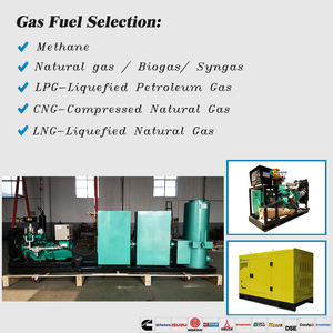 אורז קליפות עץ גלולה sawwerided מיטה ביומסה גז גנרטור כוח צמח כוח למכירה - Product Image 2