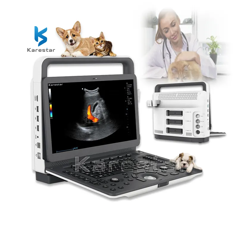 Hoge Kwaliteit Laptop 3d 4d Kleur Doppler Echografie Scanner Verloskunde Veterinaire Echografie Draagbaar