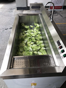 Máquina de Limpieza por Pulverización de Alta Presión Totalmente Automática para Frutas y Verduras, Acero Inoxidable 304, Fácil de Usar en Plantas de Procesamiento de Vegetales - Product Image 6