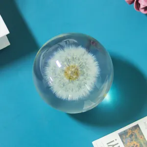 Özel kurutulmuş karahindiba çiçekler topu Paperweigh 3 4 5 inç şeffaf şeffaf reçine topu kuru gerçek çiçekler