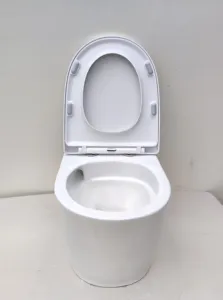 Medyag Bidet sospeso per WC accessori per il bagno sanitari in ceramica WC toilette a gravità senza montatura