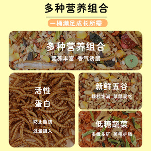 Alimento para Hámsteres, Granos Nutritivos, 160g, Ecológico, Suministros para Animales Pequeños - Product Image 4