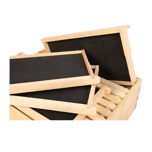 新西兰松木蜂箱框架，配有食品级塑料黑色粉底片