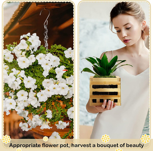 HuashenPersonnalisé En Gros En Bois Condole <span class=keywords><strong>Orchidée</strong></span> <span class=keywords><strong>Pot</strong></span> De Fleur Intérieur Et Extérieur <span class=keywords><strong>Pot</strong></span> De Fleur Carré Panier <span class=keywords><strong>Suspendu</strong></span> <span class=keywords><strong>Pot</strong></span> De Fleur - Product Image 4