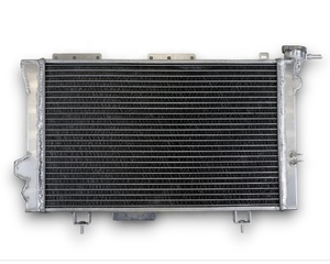 Nuevo Radiador de Alto Rendimiento de 2 Filas 100% Aleación de Aluminio para <span class=keywords><strong>Renault</strong></span> 4L 4 <span class=keywords><strong>R4</strong></span> Gros Volume Trophy con 1 Año de Garantía - Product Image 5