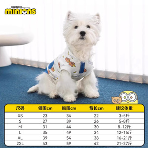 Hoopet Huayuan Pet Supplies Minions Hoodie For Dogs And <b>Cats</b> Fall Season Comfortable Pet <b>Clothes</b> - Product Image 4