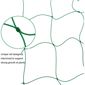 Cucumber Climbing Net/ Price of Plastic <strong>Mesh</strong>/clamber <strong>Trellis</strong> <strong>Mesh</strong> for Cucumber Tomato Melon - Product Image 6