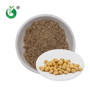 सोया isoflavones 40 सोयाबीन निकालने पाउडर