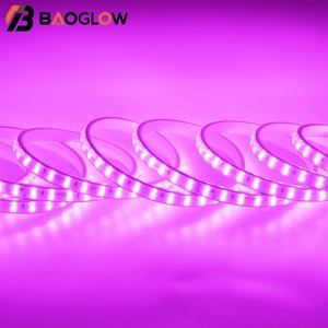 Cut Waterproof LED Lighting High Efficiency Brightness LED <b>Strip</b> 100M Roll <b>White</b> 3000K 4000K 6500K Flexible Led Stripe Light - Product Image 3