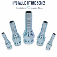 Raccords de Tuyaux Hydrauliques Femelles : Fournisseur pour Fabricants d'Équipements, Distributeurs Hydrauliques et Acheteurs de Maintenance (OEM)