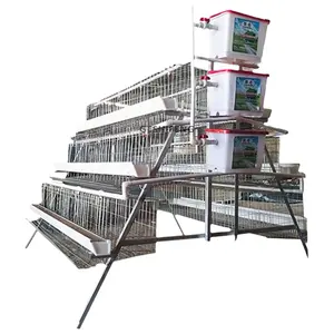 Cages de poulailler pour volailles Cages à poulets en fil de fer à vendre Alimentation automatique d'élevage de poulets fournie