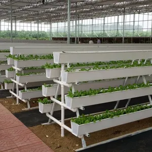 Gongli - Calha de plástico hidropônica para plantio de plantas, calha de PVC para plantio de plantas de tomate e morango, com preços de atacado