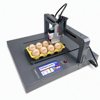 Impresora de Inyección de Tinta Industrial de Escritorio con Eje XY, Pantalla Táctil de 5 Pulgadas para Etiquetas de Fecha de Caducidad de Huevos, Código de Lote