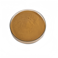 Poudre d'extrait de racine de lotus de qualité alimentaire 10:1 30:1 50:1 Extrait de racine de Nelumbo Nucifera à base de plantes pour boissons et aliments santé
