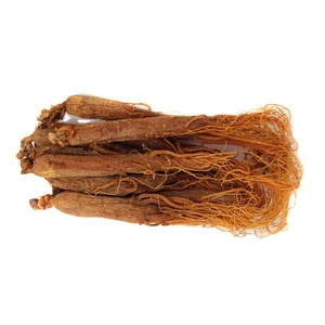 Atacado Food Grade Full Red <span class=keywords><strong>Ginseng</strong></span> Roots Maior Qualidade <span class=keywords><strong>Original</strong></span> Saponinas Extrato de Plantas a Granel - Product Image 4