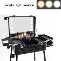 Trolley professionnel de maquillage de grande capacité de 24 pouces stockage pratique transporter personnalisable OEM pris en charge en aluminium métal