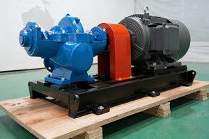 ปั๊มน้ำแนวนอน QS แบบดูดสองทาง ใช้พลังงานจากดีเซลและมอเตอร์ไฟฟ้า สำหรับบำบัดน้ำ - Product Image 3