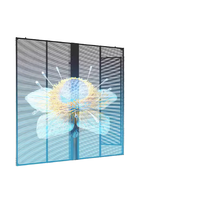 Pantalla LED Transparente de Alta Luminosidad Personalizada para Interiores, para Paredes de Vidrio y Ventanas de Tiendas, Pantalla LED Transparente para Publicidad
