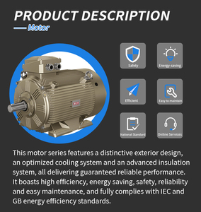 Motor de Bajo Voltaje y Alta Potencia WO.LONG IE3 IE4, Eficiencia Premium, Cuerpo de Hierro Fundido, Aplicación Industrial de Uso Pesado, IP55 WE3 Ultra - Product Image 3