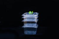 Boîte à salade à couvercle rabattable, conteneurs à salade, boîtes d'emballage en plastique à rabat transparent 50 pièces