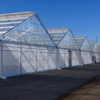Plaques de polycarbonate de haute qualité pour serres à toit en pente, à travée unique et multi-travées