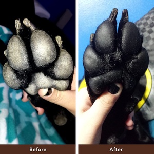 OEM/ODM 2oz Etiqueta Privada PawTection bálsamo palo totalmente natural perro pata hidratante para uso diario productos de aseo para mascotas - Product Image 5
