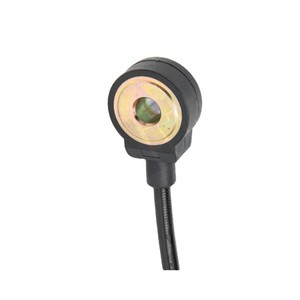 Capteur de cliquetis pour véhicules Fiat OE 0251231122 0309053771 0261231126 Pièce de rechange automobile - Product Image 1