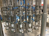 Nieuwe Technologie Automatische Roterende Hete Sap Vulmachine Voor Glazen Fles Van Indiase Leverancier Voor Bulk Export
