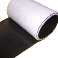 Композитная геотекстильная мембрана (HDPE/LDPE) для защиты от проникновения и разрывов, прочная, водонепроницаемая, для фундаментов прудов, водоемов и плотин, предотвращающая оседание грунта