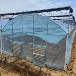 Hot Sale Agricultural Greenhouse Single span Dedicated green house For planting strawberry