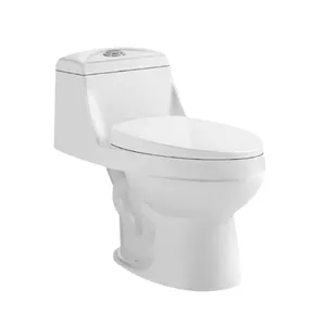 남미 욕실 화장실 화장실 화장실 듀얼 플러시 1 조각 사이포닉 S 트랩 300mm 현대 화장실