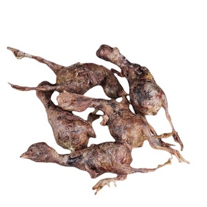 Friandises pour animaux de compagnie en vrac, poussins lyophilisés, collations nutritives pour la brillance des poils, pour toutes les races de chats et de chiens, fournisseur en gros - Product Image 4