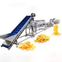 Volledig automatische productielijn voor gefrituurde aardappelchips/Frietproductiemachine/Verwerking van diepvriesfriet