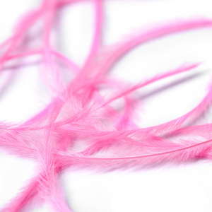 Decoración de Uñas con Plumas Naturales Delgadas, 8 Colores, Accesorios para Manicura DIY, Material Auxiliar al por Mayor - Product Image 4