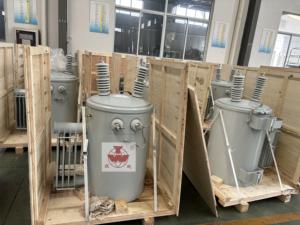 Transformador de Distribución de Alto Rendimiento de 13.8KV 240V/480V 100KVA, Sumergido en Aceite, Monofásico, Montado en Poste, D11 Industrial - Product Image 1
