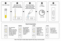 Kit de test de grossesse rapide pour équidés en gros, détection précoce pour juments, résultat visuel simple en 10 minutes OEM ODM