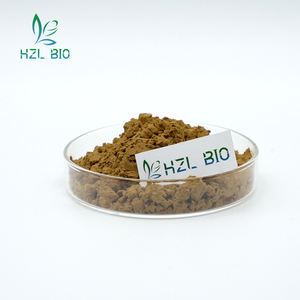 Hochwertiges organisches Reishi-Pilz-Extrakt 20 % Reishi-Pilz-Extraktpulver - Product Image 3