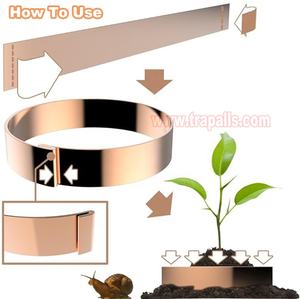 Anillo <span class=keywords><strong>de</strong></span> banda <span class=keywords><strong>de</strong></span> protección vegetal orgánica para repeler babosas, trampa para caracoles, Control <span class=keywords><strong>de</strong></span> plagas, anillo <span class=keywords><strong>de</strong></span> cobre a prueba <span class=keywords><strong>de</strong></span> babosas - Product Image 3