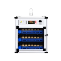 Machine d'incubation automatique d'œufs de poulet en ligne, incubateurs industriels d'œufs pour élevages avicoles