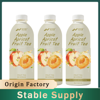 Nihewan Gemengde Appel-Abrikozen Thee OEM ODM Kwaliteitsgecontroleerd 33% Versgeperst Magere Suikerarm Hoge Sappige 8-Pack Fles Bulk