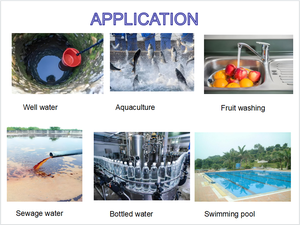 10g छोटे जल उपचार कोई तालाब ओजोन जनरेटर बिक्री के लिए - Product Image 6