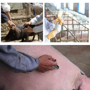 Jeringas veterinarias <span class=keywords><strong>de</strong></span> Metal <span class=keywords><strong>de</strong></span> acero inoxidable para cerdos, ganado, ovejas, inyector, instrumentos veterinarios para animales, alimentador <span class=keywords><strong>de</strong></span> medicina para ganado - Product Image 6